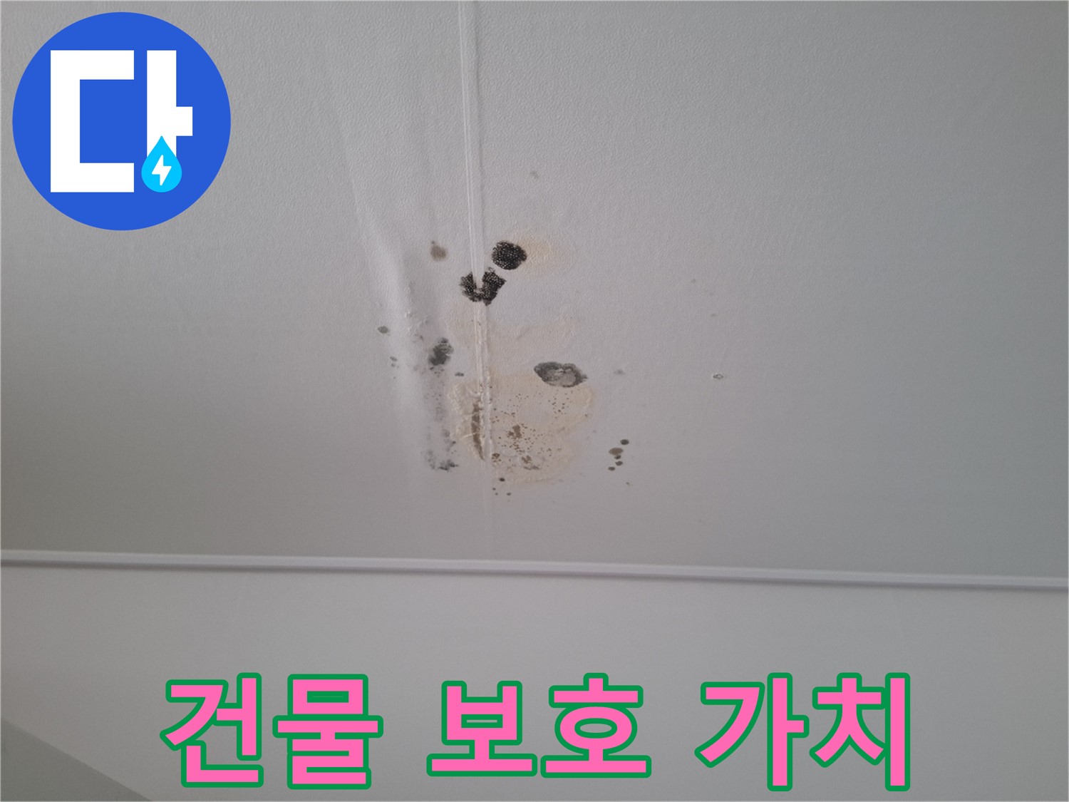 판교 봇들마을 2단지 아파트 - 누수를 방치하면 건물 가치가 하락할 수 있으므로 - 조기 진단으로 건물을 보호하고 가치를 높이세요.