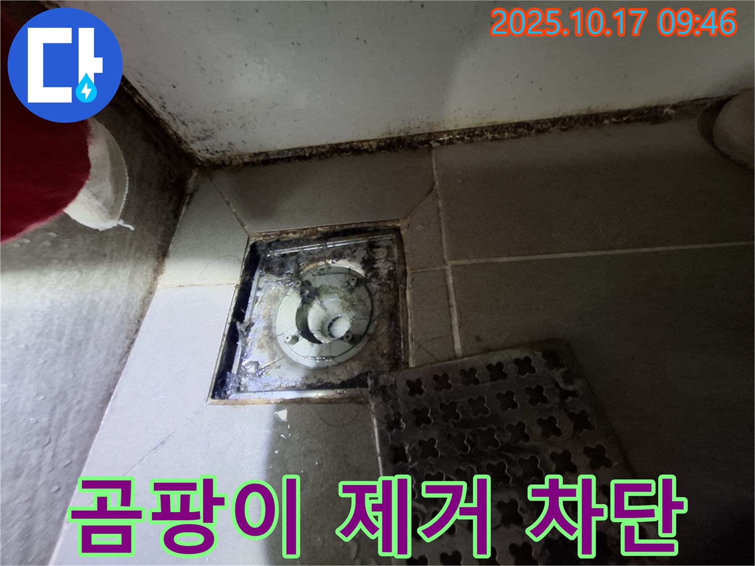 판교 봇들마을 아파트 - 욕실 배수구 곰팡이 제거 - 누수 원천 차단 - 전문 기술로 안심하고 사용하세요.