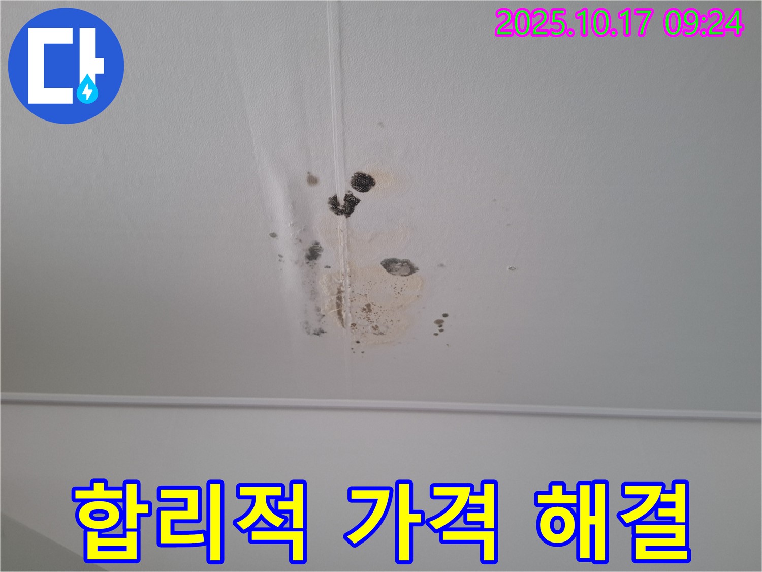 판교 봇들마을 아파트 천장 누수 - 곰팡이 문제 합리적인 가격으로 해결