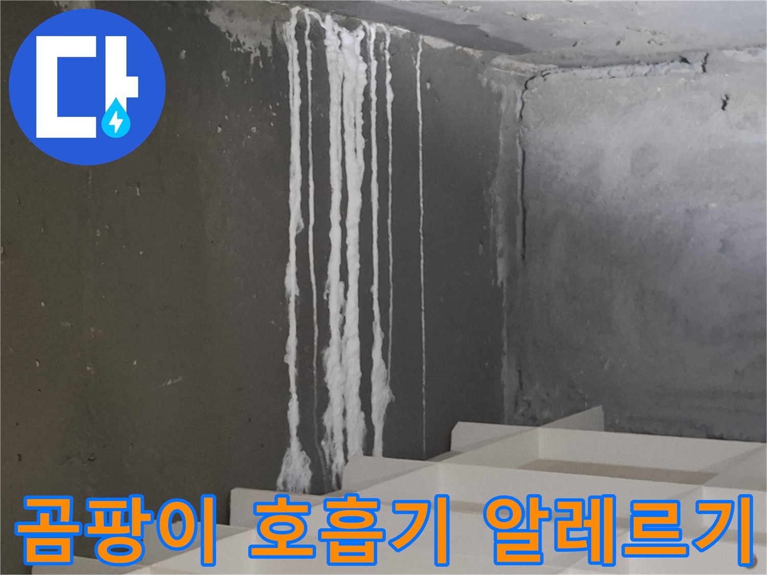 판교 삼평동 봇들마을 아파트 - 계단 '하얀 곰팡이' 누수는 호흡기 질환과 알레르기를 유발할 수 있습니다.