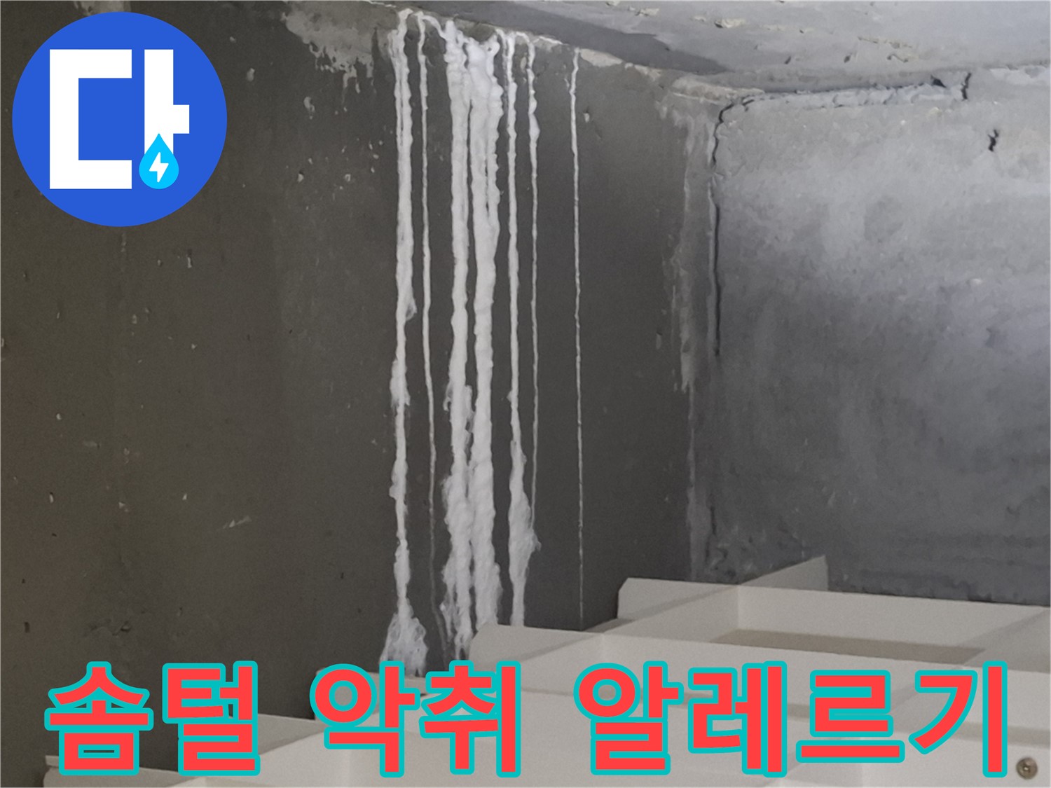 판교 삼평동 봇들마을 아파트 - 계단 '하얀 솜털' 누수는 악취를 유발하고 알레르기를 악화시켜 건강에 '적신호'를 켤 수 있습니다.
