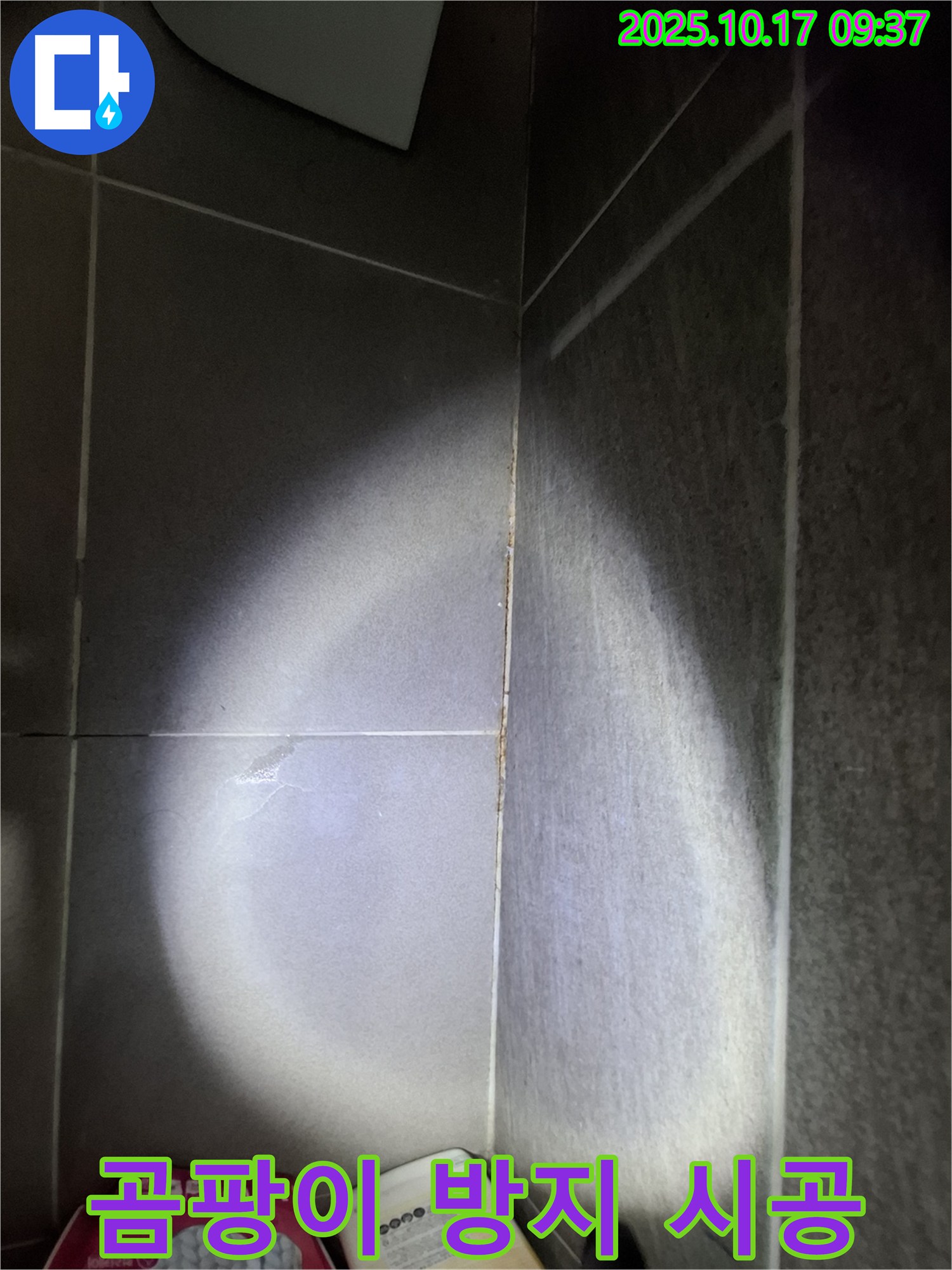 판교 삼평동 봇들마을 아파트 욕실 타일 틈새 누수 - 곰팡이 방지 실리콘으로 꼼꼼하게 시공 완료!