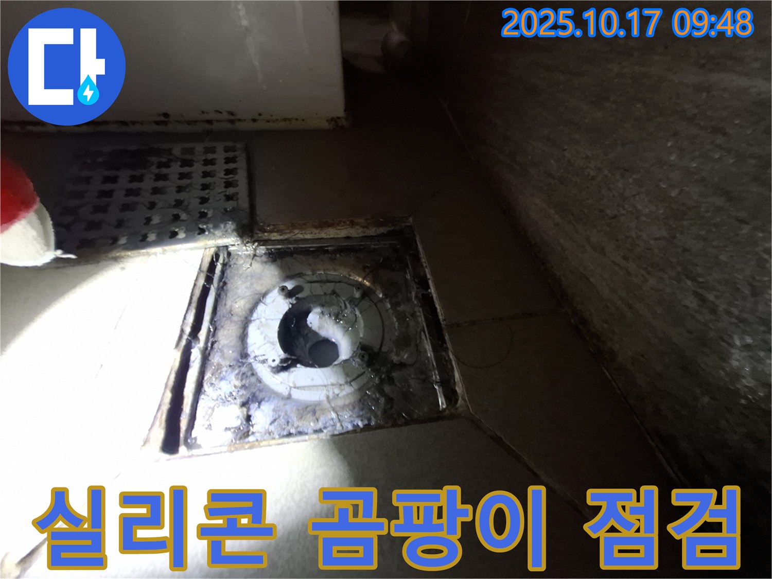 판교 삼평동 봇들마을 - 욕실 배수구 주변 실리콘 노후화 및 곰팡이 발생 여부를 꼼꼼하게 점검하고 있습니다.