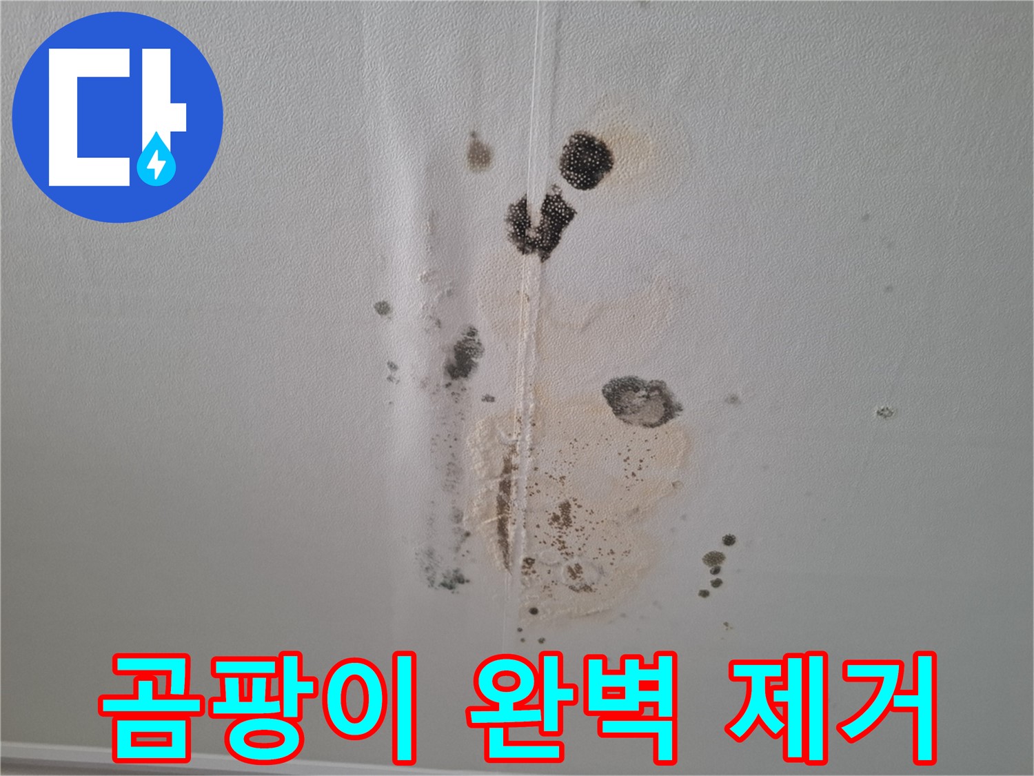 판교 삼평동 아파트 누수 - 206동 누수 해결 후 곰팡이 완벽 제거