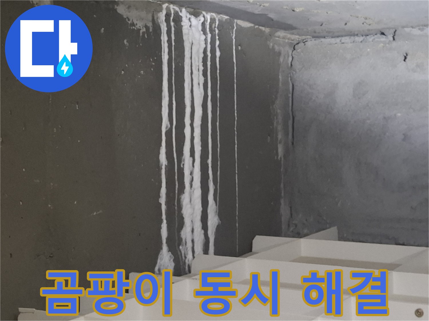 판교 아파트 누수 - 백화현상과 곰팡이 동시 해결! 누수 문제와 곰팡이 걱정을 한 번에 해결하세요.