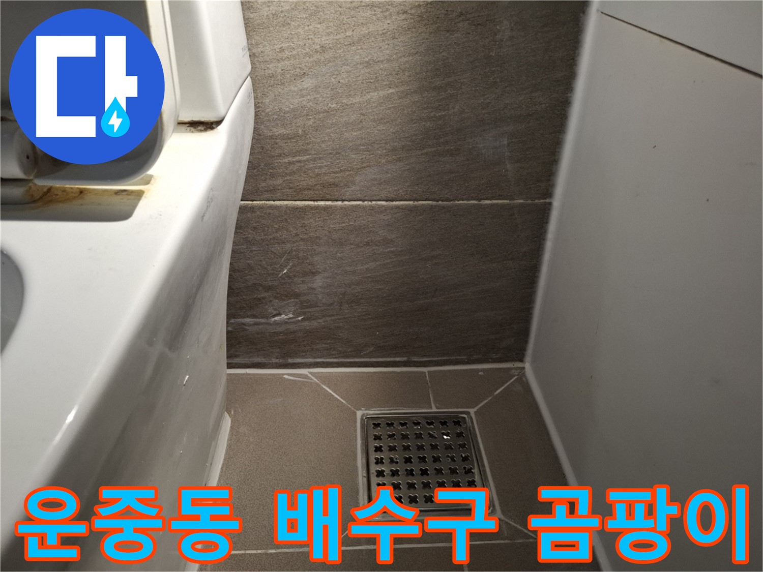 판교 운중동 화장실 배수구 곰팡이 - 끈적거림