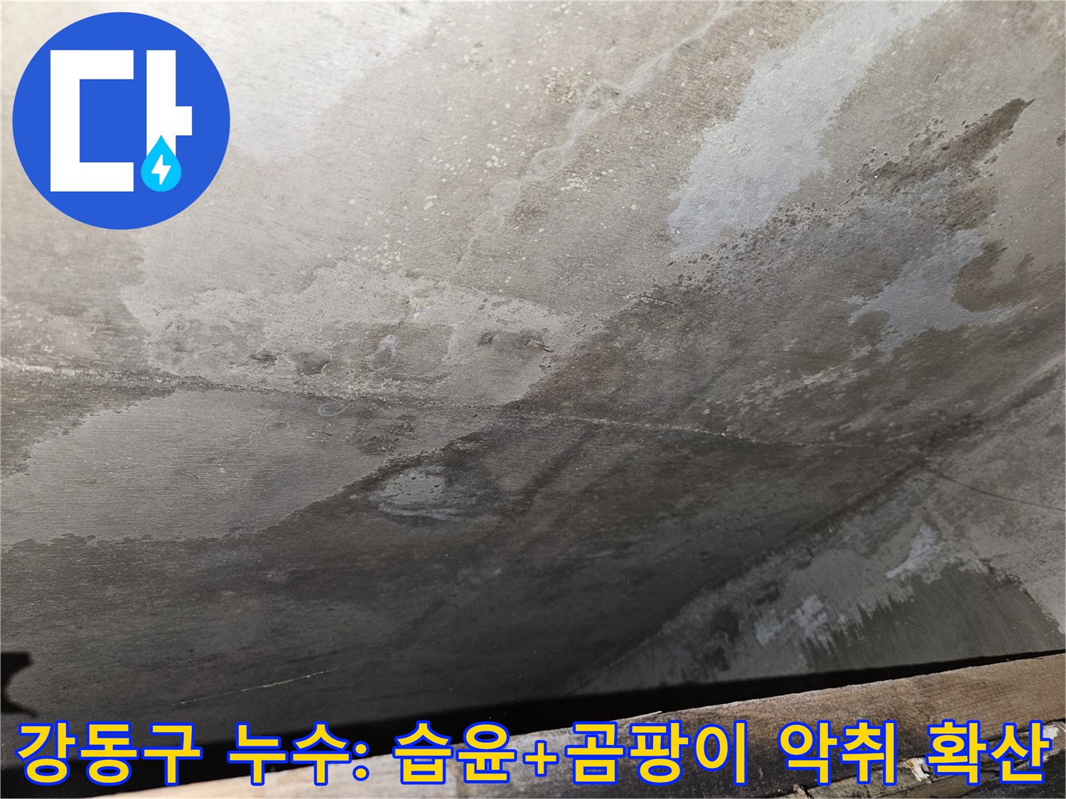 강동구 아파트 누수 - 습윤과 곰팡이 악취 확산은 건강에 악영향