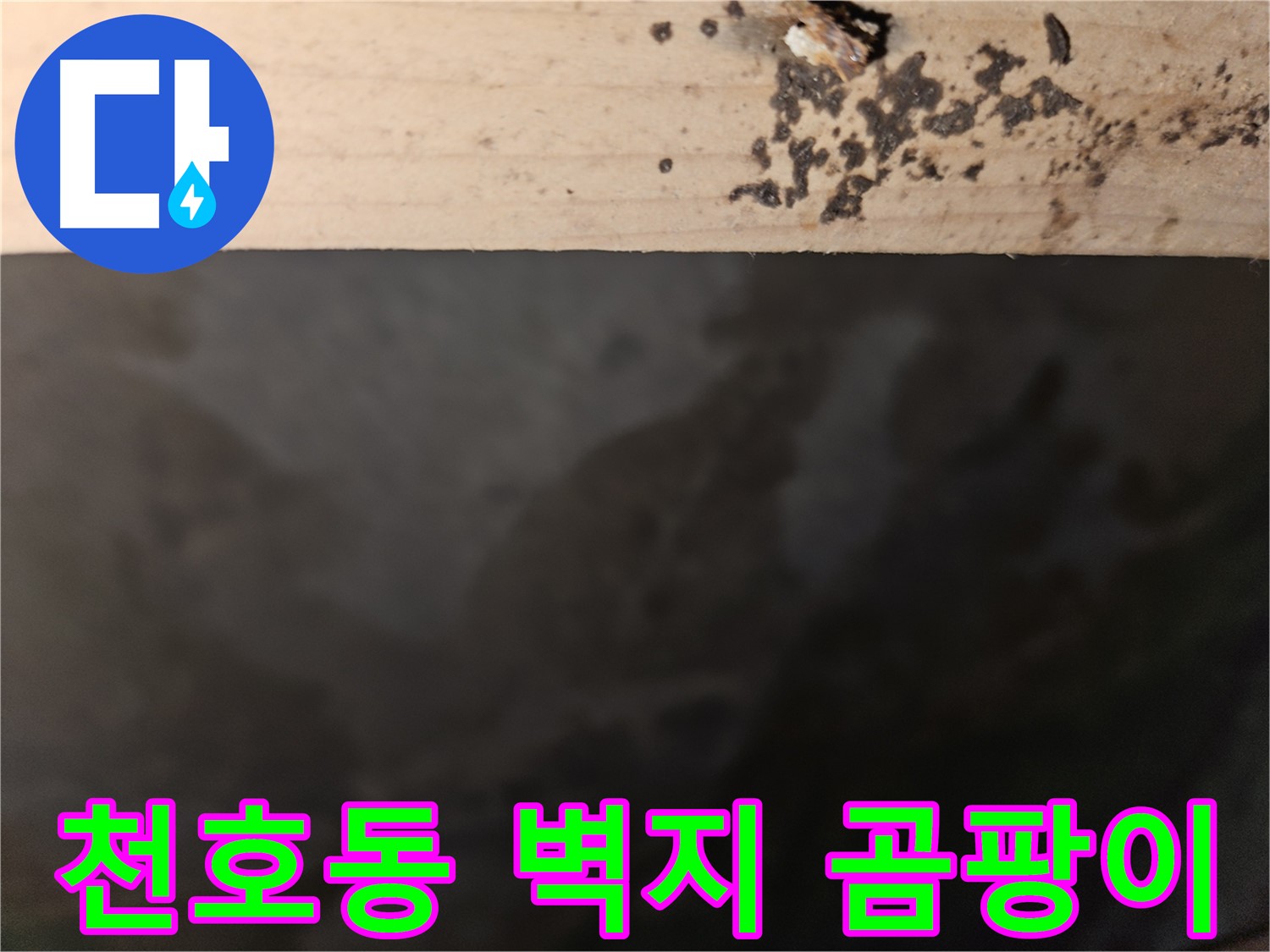 강동구 천호동 누수 - 벽지 곰팡이 해결 전문가 - 완벽 해결
