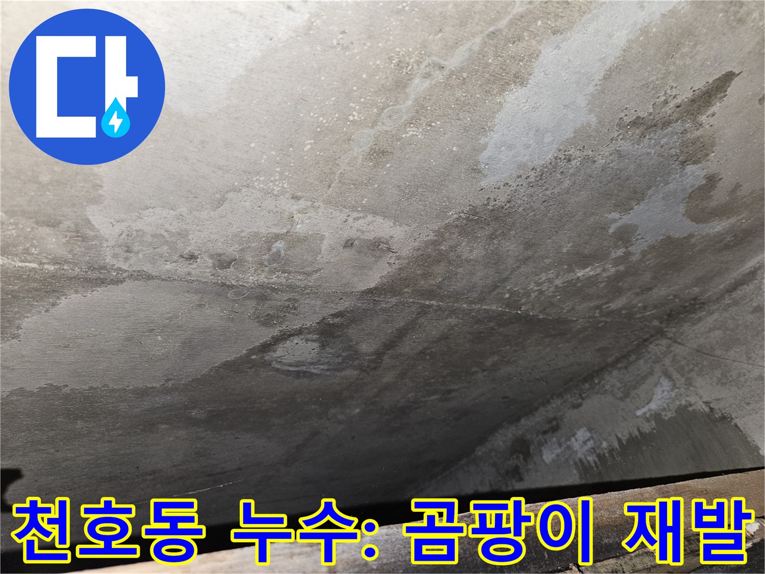 강동구 천호동 아파트 누수 - 곰팡이 제거 후 재발은 누수 원인 미해결