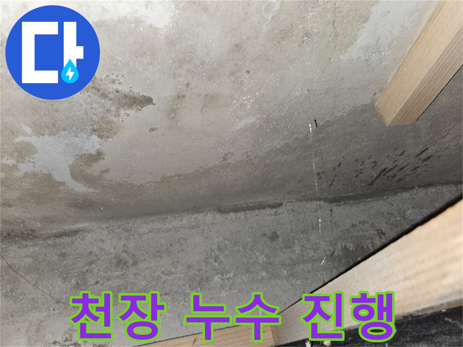 천장 누수 진행 - 콘크리트 표면의 젖은 부분은 누수가 계속 진행되고 있음을 보여줍니다.