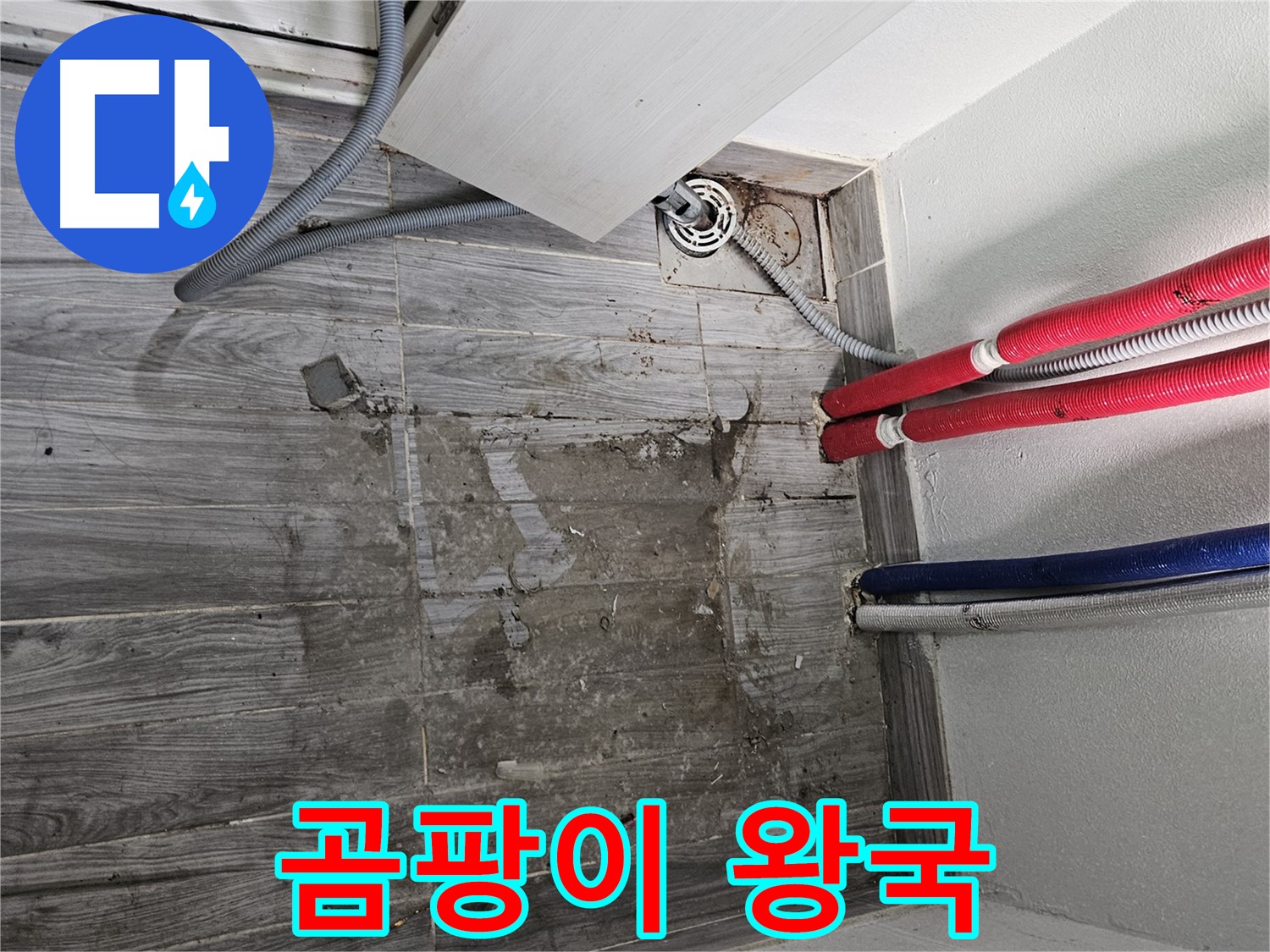 천호동 세탁실 누수 - 곰팡이 왕국 건설 중!