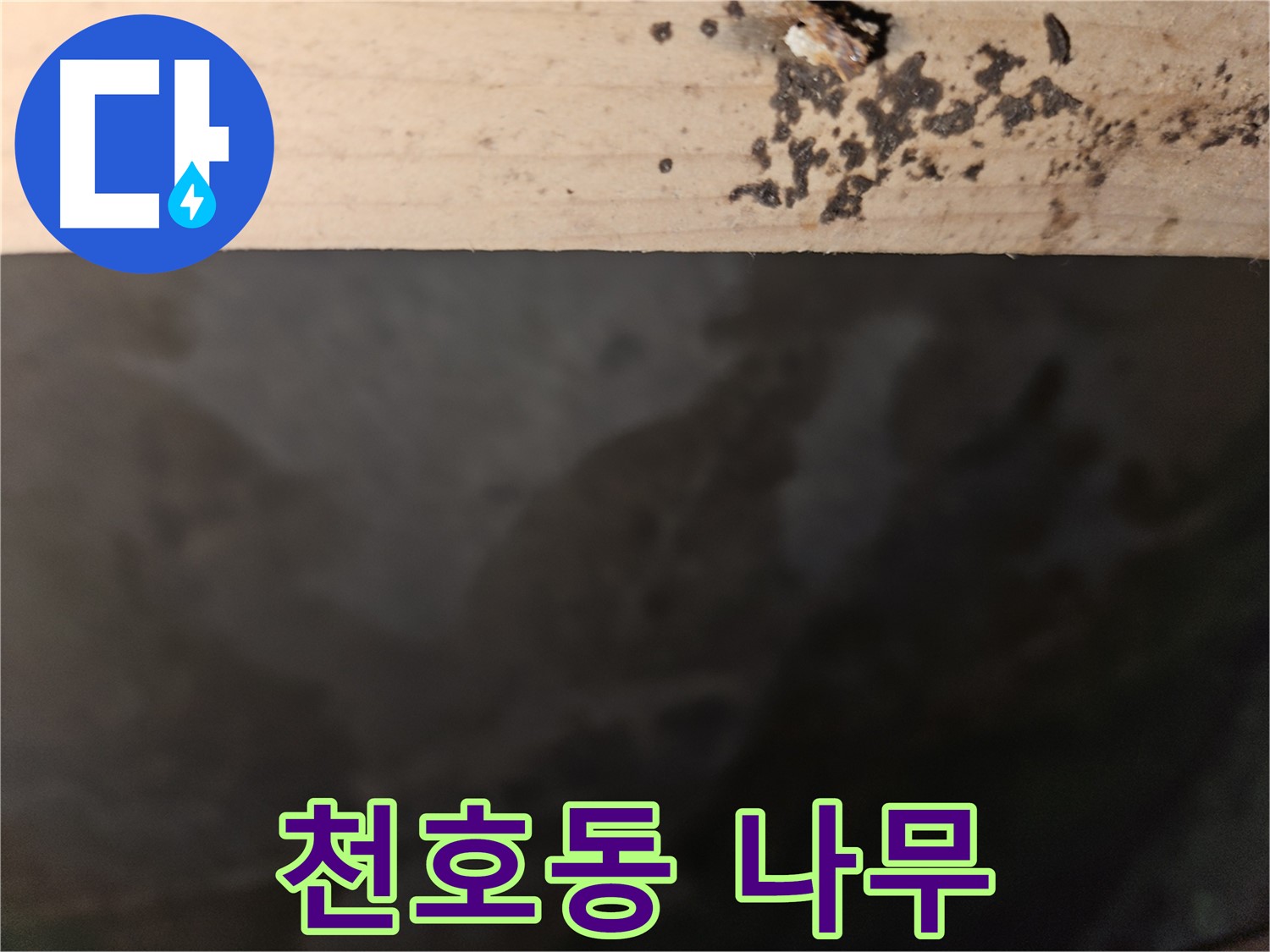 천호동 아파트 누수 - 나무 겉면 곰팡이 차단 - 최고