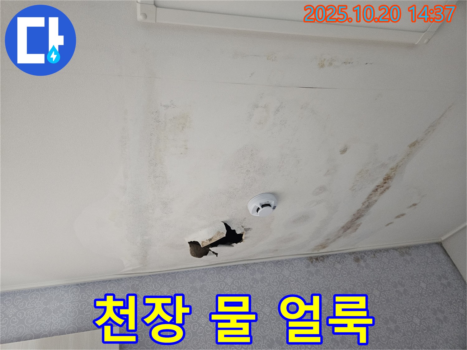 천호동 아파트 천장 누수 - 심각한 물 얼룩과 훼손 상태