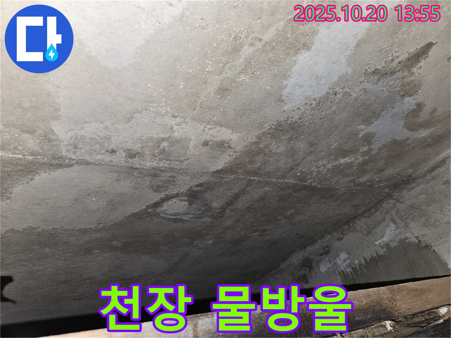 천호동 아파트 콘크리트 천장 누수 - 천장에 물방울이 맺혀 있는 모습 이미지