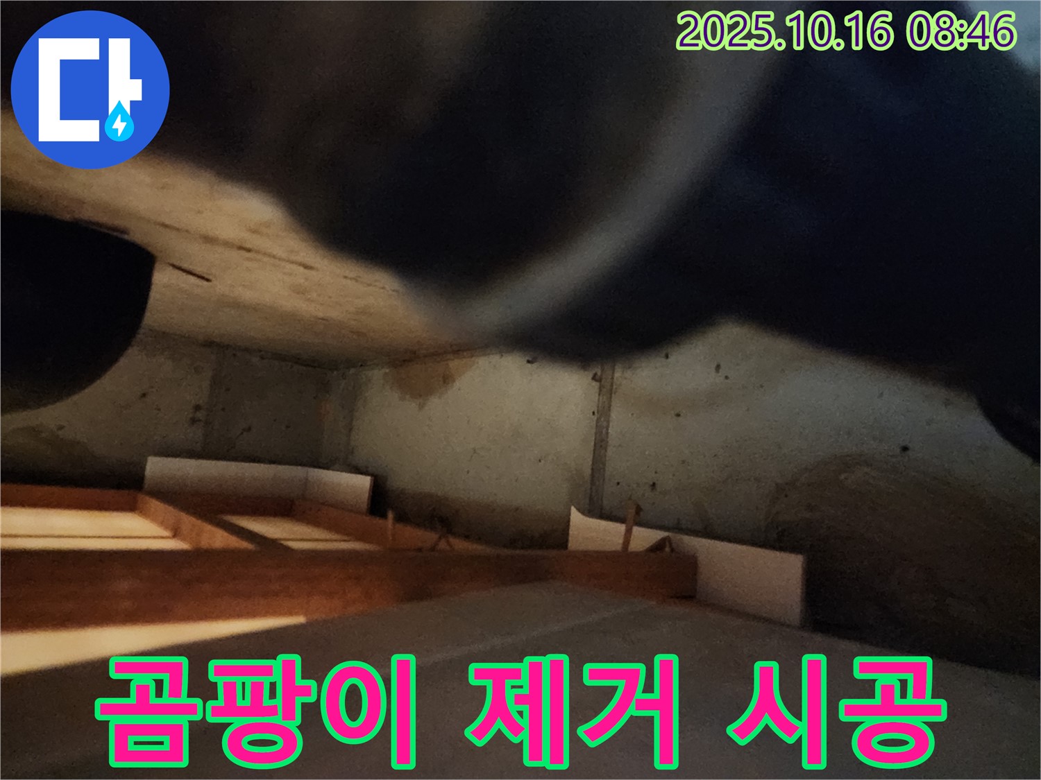 남면 주택 누수 - 곰팡이 완벽 제거로 쾌적한 공간으로 변신