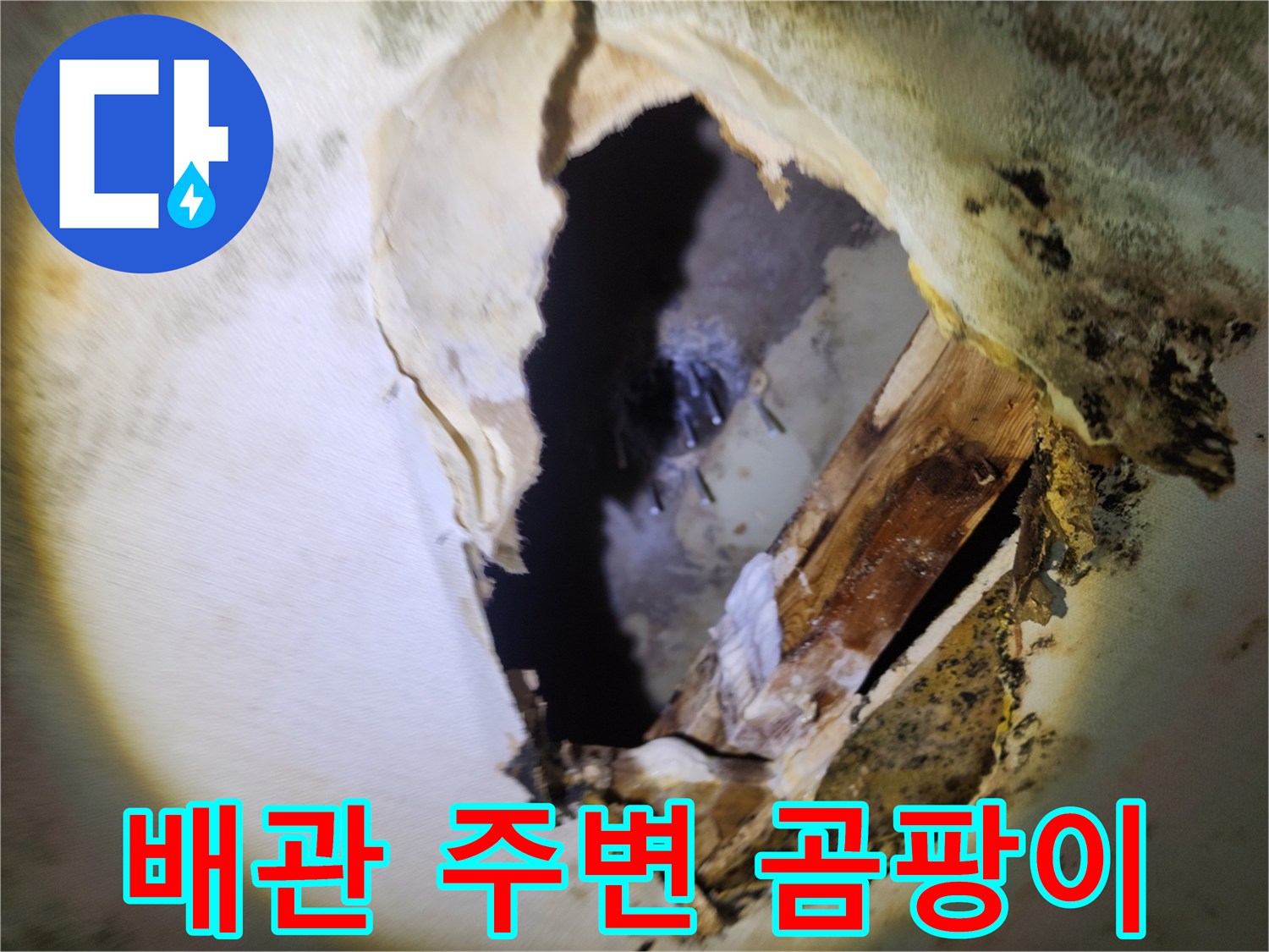 누수로 인해-발생한 천장 내부의 곰팡이와 습기