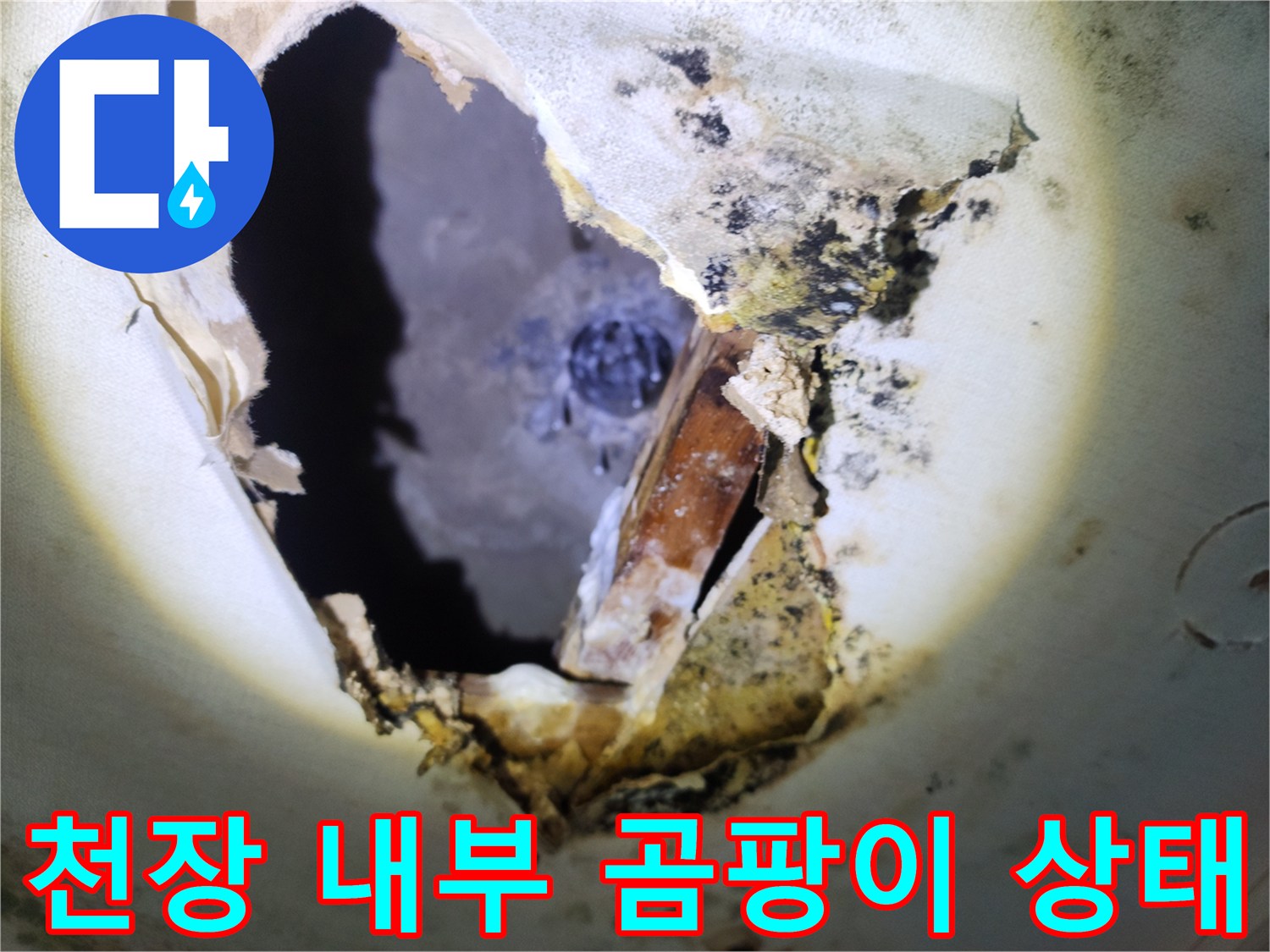 누수로 인해 오염된-천장 내부 마감재와 곰팡이 발생 현황
