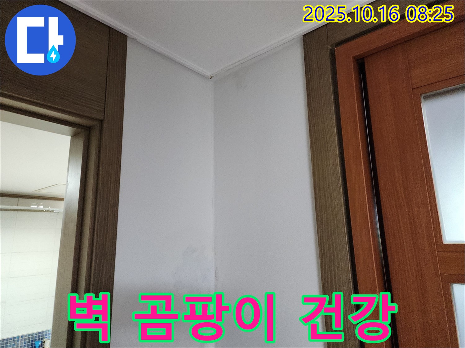 벽 곰팡이 - 건강 적신호 - 누수 점검 필수 - 가족 건강 - 즉시 해결