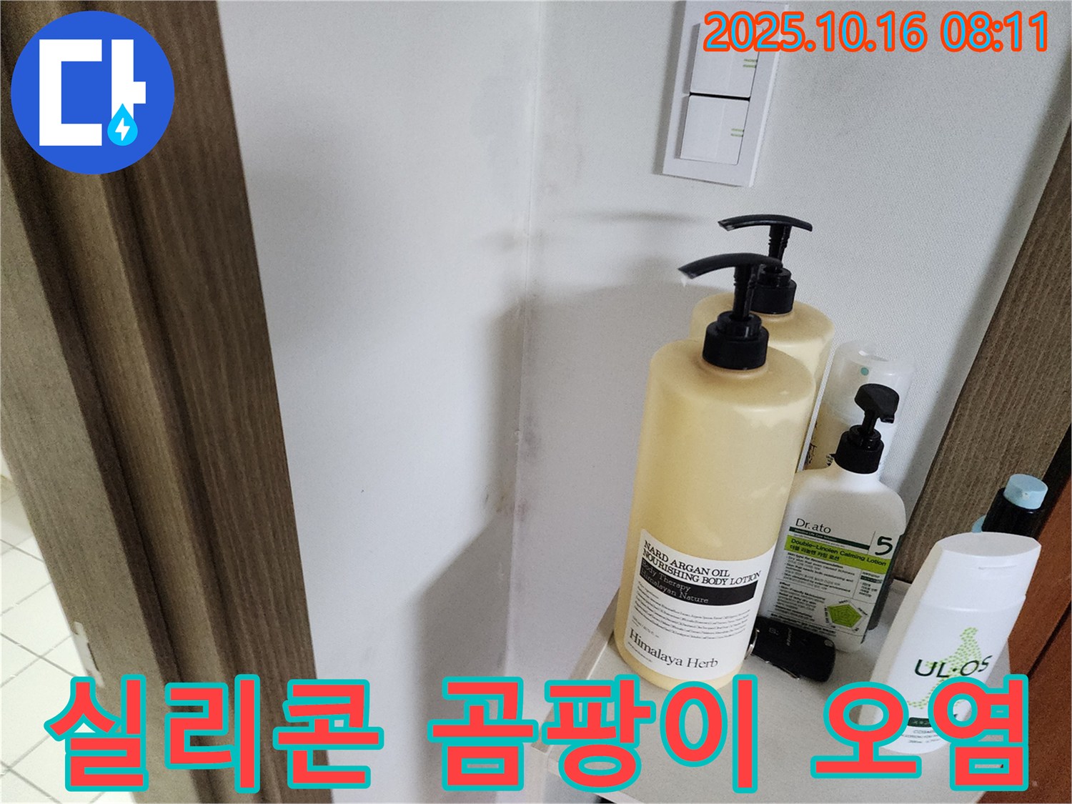 양주 남면 경신리 욕실 - 실리콘 곰팡이 오염 - 곰팡이 제거 시급