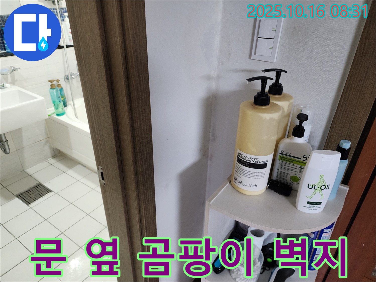 양주 남면 욕실 누수 - 문 옆 곰팡이와 젖은 벽지, 누수 의심