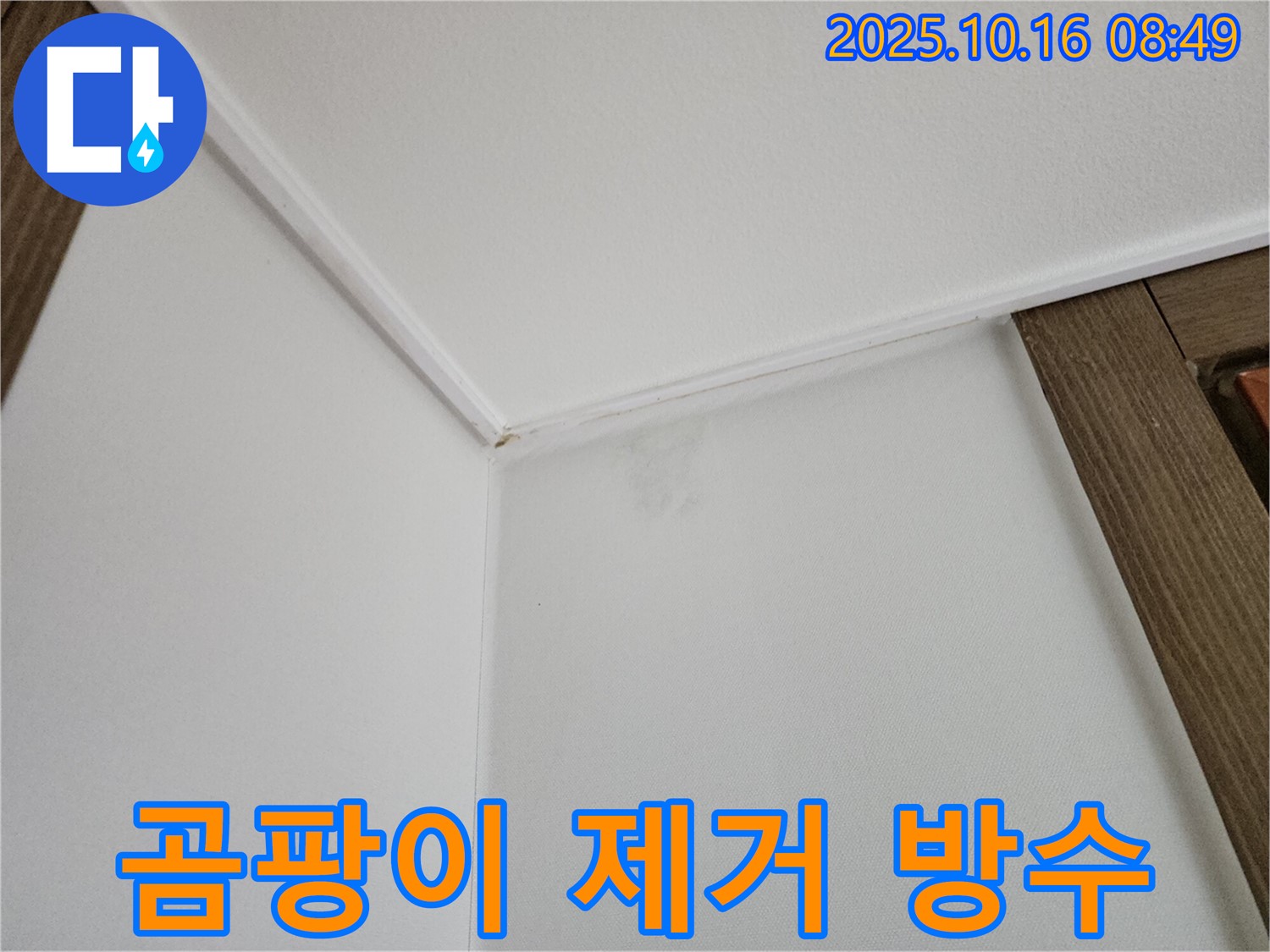 양주시 곰팡이 핀 벽 - 곰팡이 제거와 완벽 방수 시공으로 깨끗하게 해결합니다.