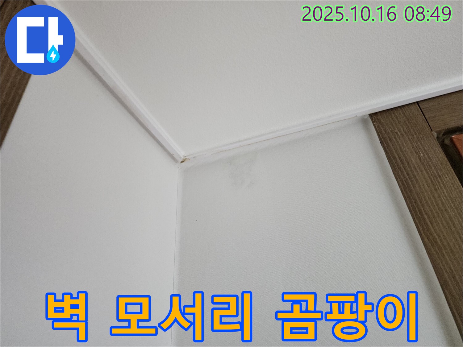 양주시 남면 경신리 벽 모서리 곰팡이 초기 증상 - 꼼꼼한 점검이 필요합니다.
