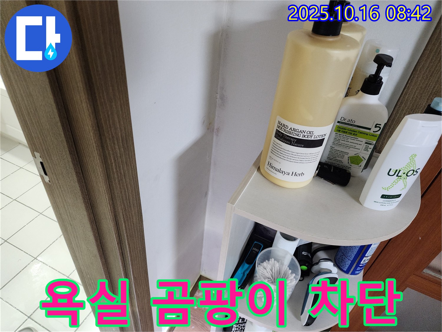 양주시 남면 경신리 욕실 곰팡이 - 누수 문제 해결로 완벽 차단
