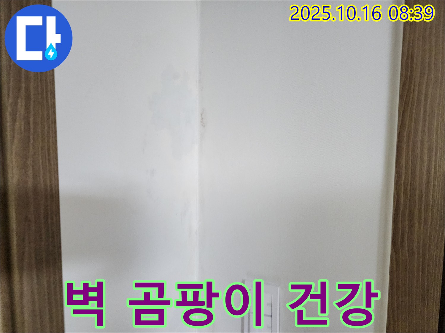 양주시 남면 경신리 주택 벽 곰팡이 - 건강 위협, 누수 점검 시급