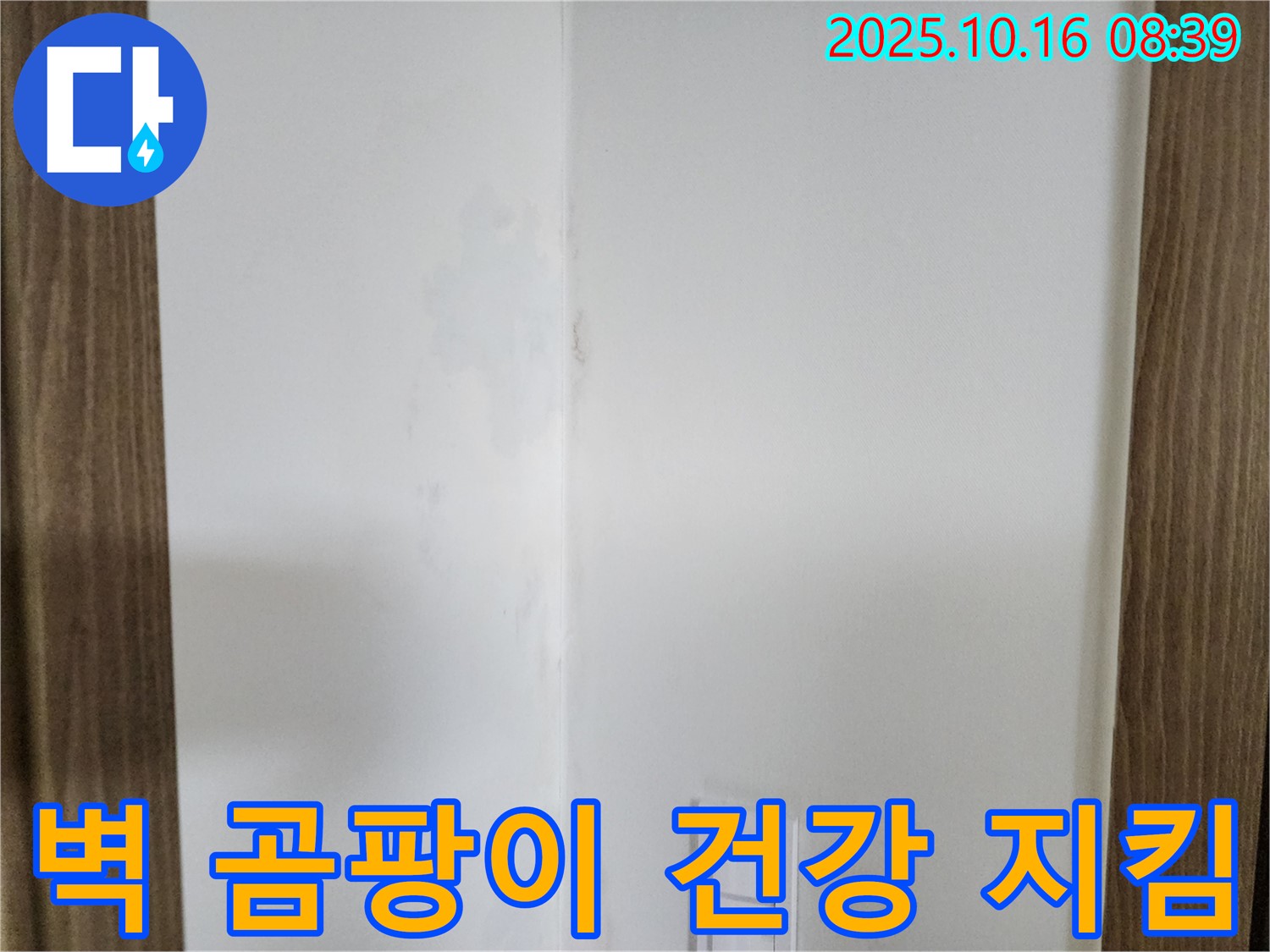 양주시 남면 경신리 주택 벽 곰팡이 - 건강 지키기, 누수 점검 필요