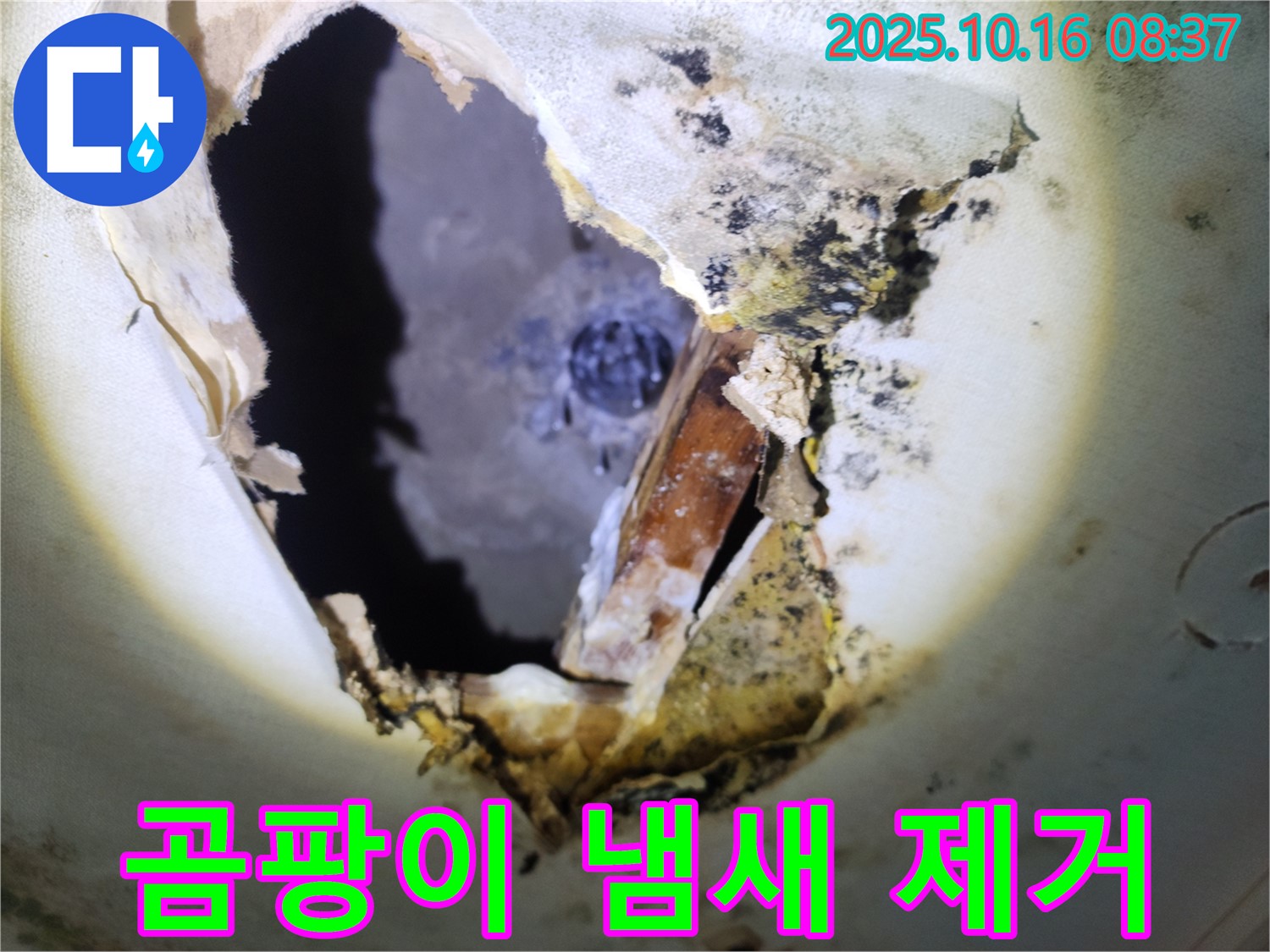 양주시 남면 경신리 주택 천장 - 곰팡이 냄새 가득한 천장 - 누수 원인 제거가 시급합니다.