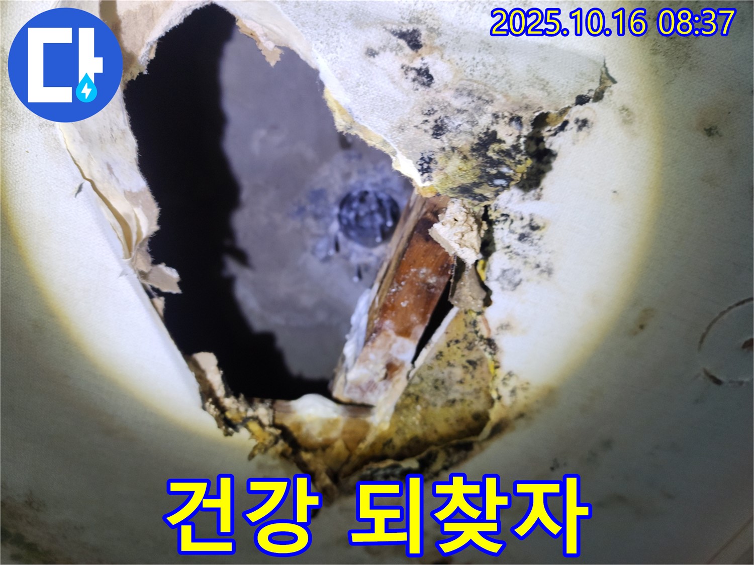 양주시 남면 경신리 주택 천장 - 곰팡이 천장, 누수 뿌리 뽑고 건강 되찾으세요!