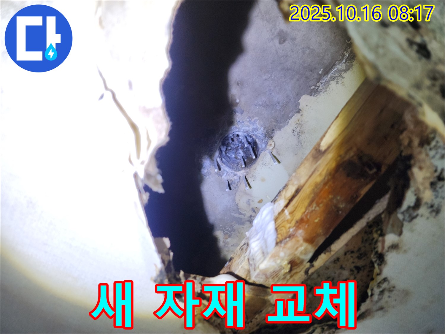 양주시 남면 경신리 천장 누수 - 못을 제거하고 새 자재로 교체하는 작업입니다.