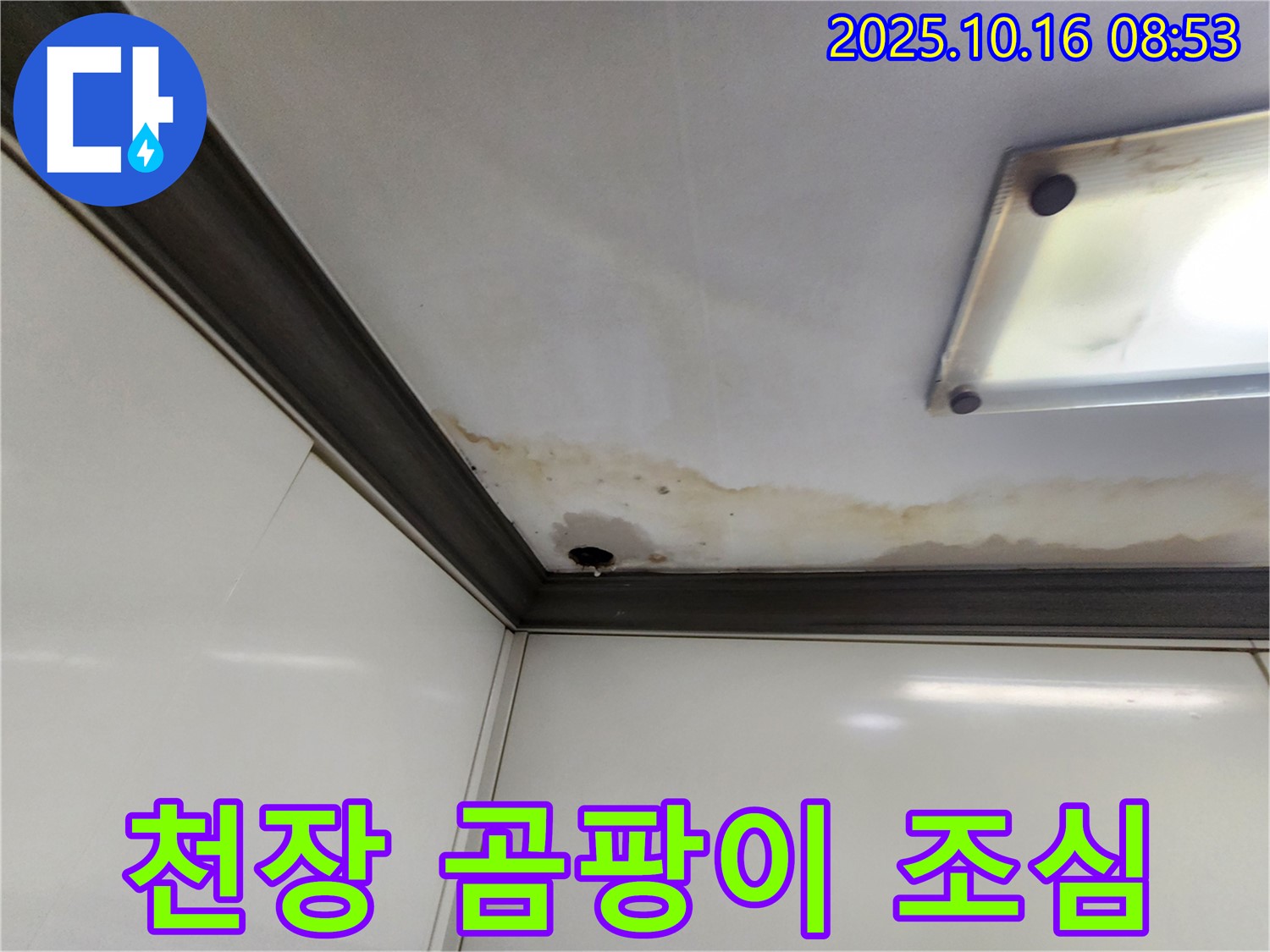 양주시 남면 경신리 천장 누수 - 젖은 천장, 곰팡이 조심!