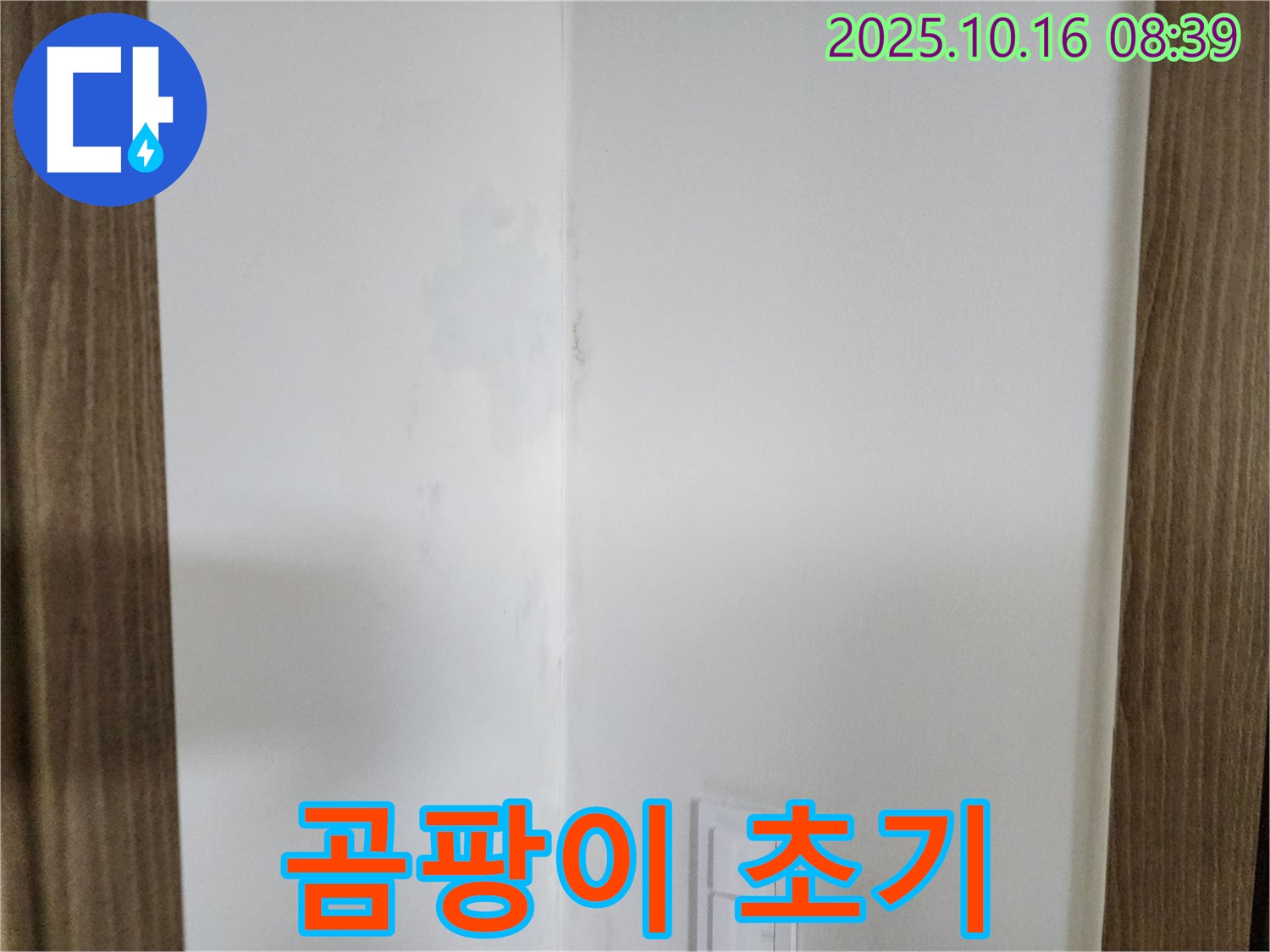 양주시 남면 주택 곰팡이 초기 - 작은 실천, 쾌적한 공간, 누수 점검