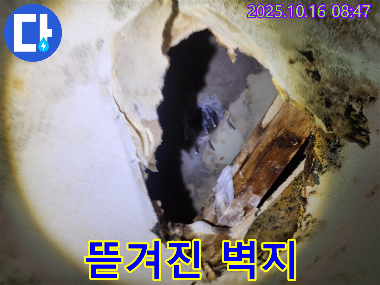 양주시 누수 - 곰팡이와 뜯겨진 벽지 - 숨겨진 누수를 의심하고 정밀 검사 진행
