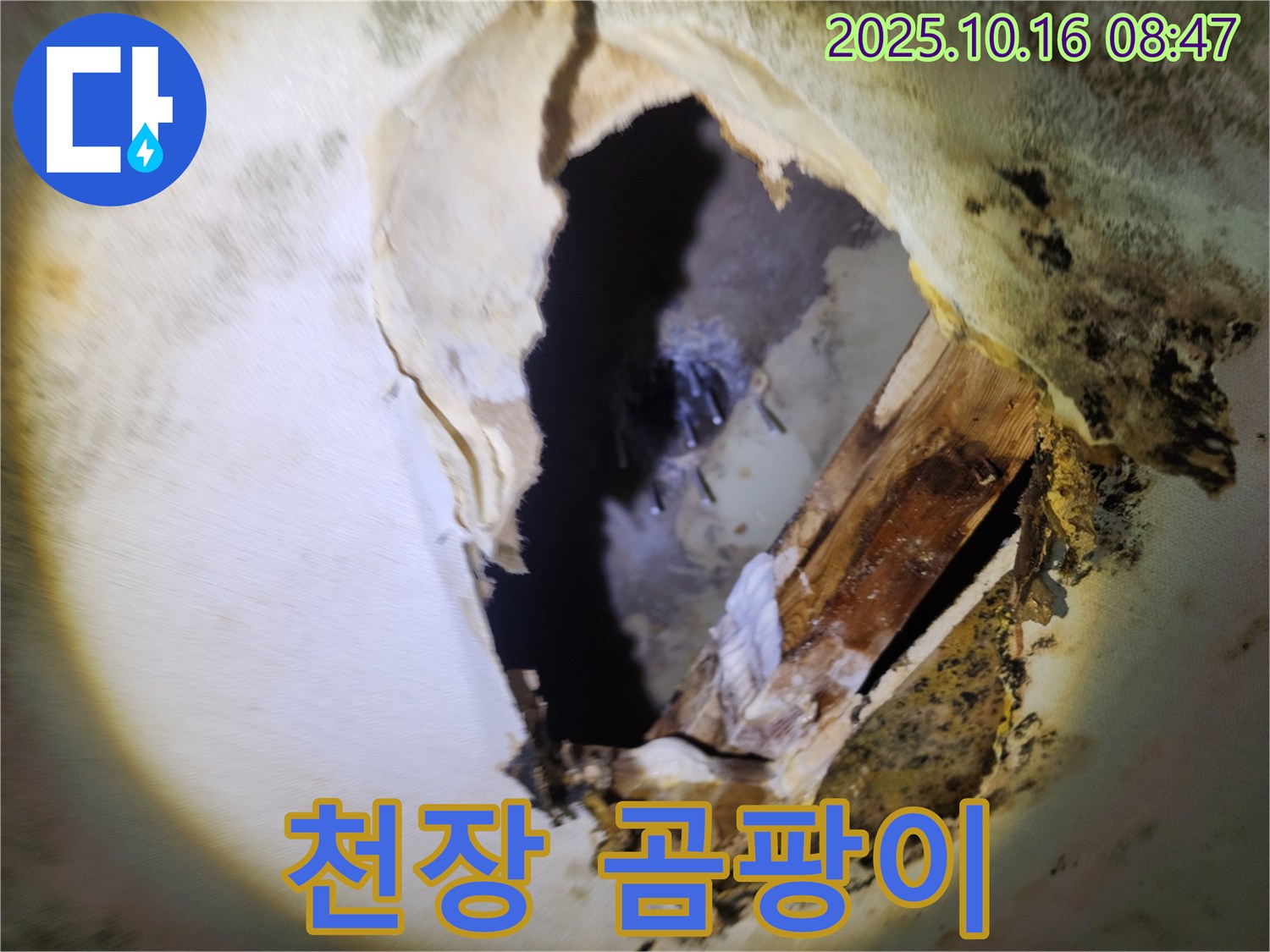 양주시 누수 - 내려앉은 천장과 곰팡이 냄새 - 건물 붕괴 위험, 긴급 보수 필요