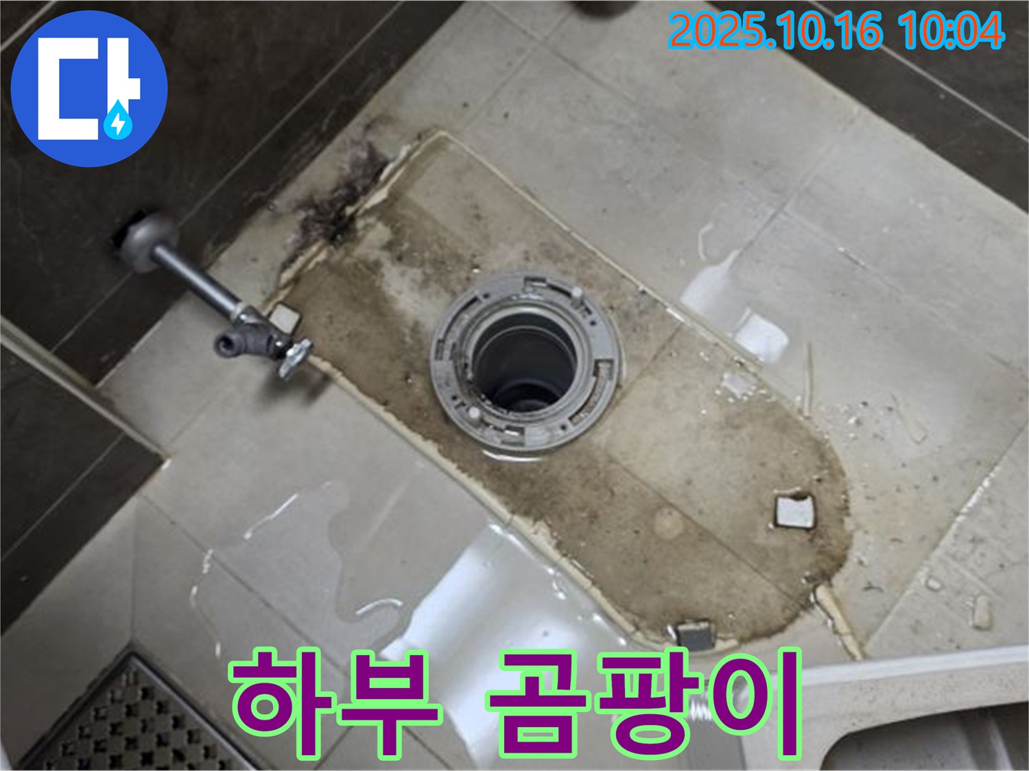 양주 옥정 율정마을 아파트 변기 누수 - 변기 하부 곰팡이 및 누수 완벽 해결 - 누수 전문가의 청결한 시공