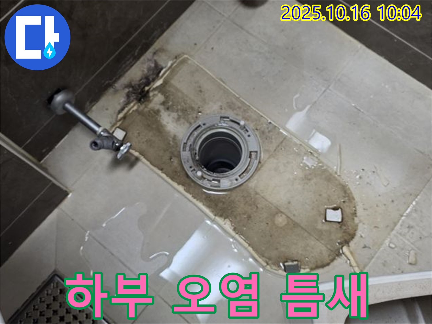 양주 옥정동 율정마을 13단지 아파트 변기 누수 - 변기 하부 오염과 틈새 누수 해결 - 꼼꼼하게 메우고 깨끗하게 청소