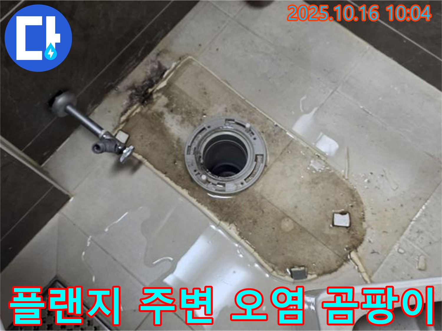 양주 옥정동 율정마을 13단지 아파트 변기 누수 - 플랜지 주변 오염과 곰팡이 의심 - 꼼꼼한 점검으로 원인 파악