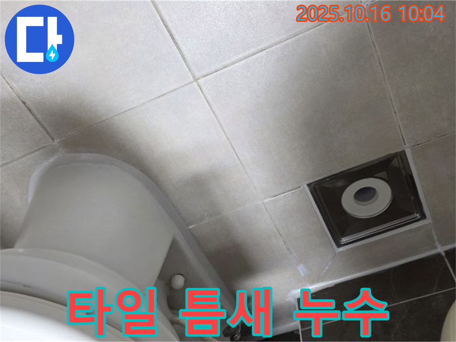 옥정동 율정마을 화장실 누수 - 변기 아래쪽 타일 틈새에서 누수 발생