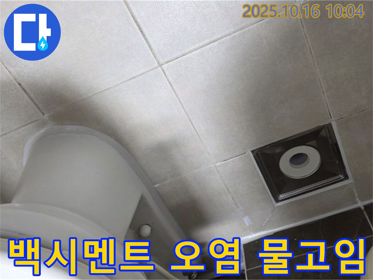 옥정동 율정마을 화장실 누수 - 변기 주변 타일 틈새 백시멘트 오염 및 물고임 심각으로 인한 누수