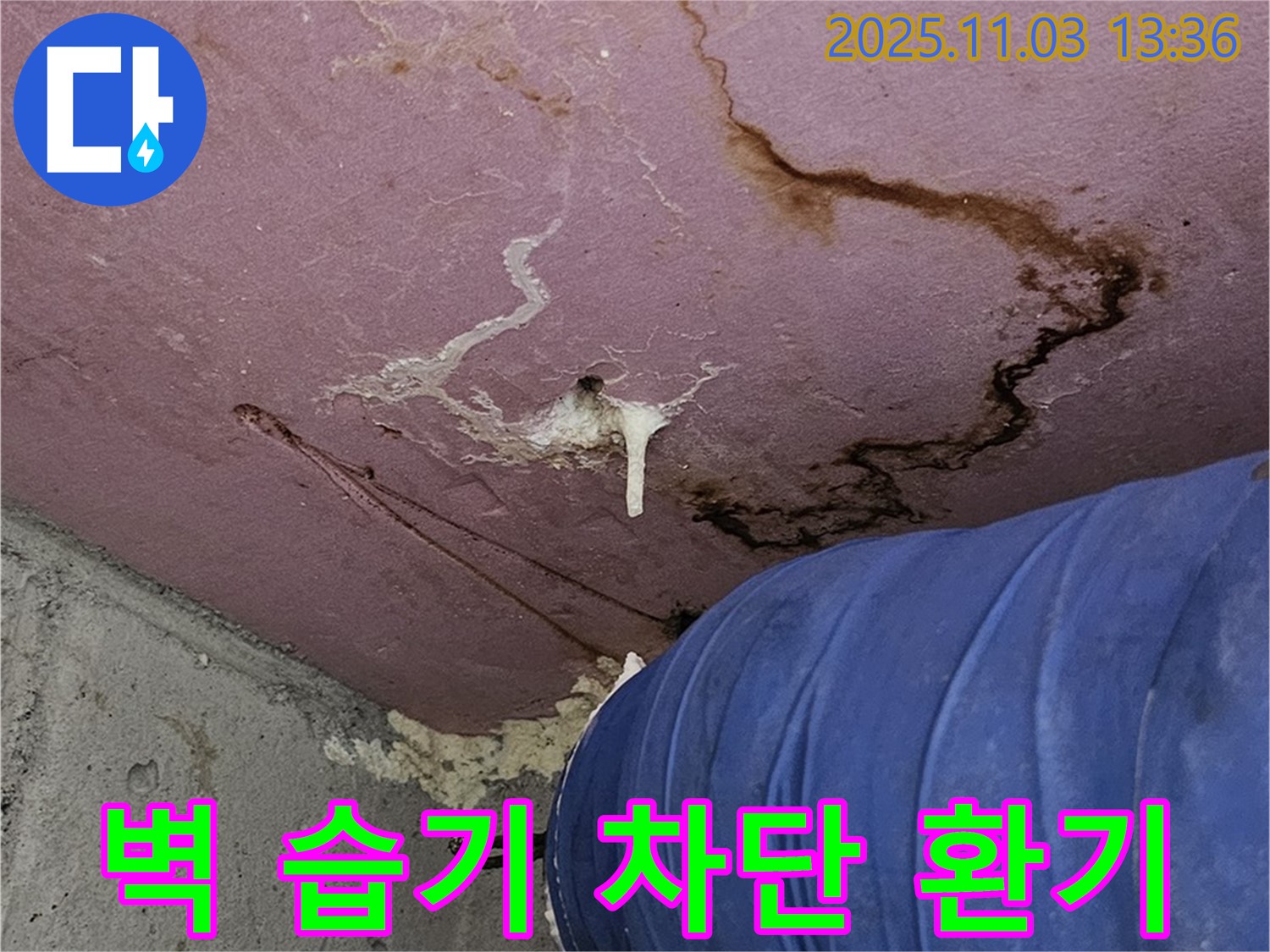 신월동 누수 현장 - 벽면 습기 차단 및 환기 시스템 구축, 쾌적한 환경 조성