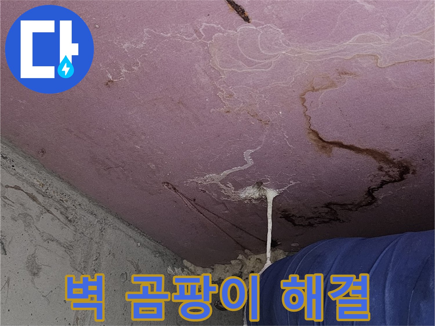 신월동 양천구 누수 - 벽 곰팡이 해결, 쾌적 공간