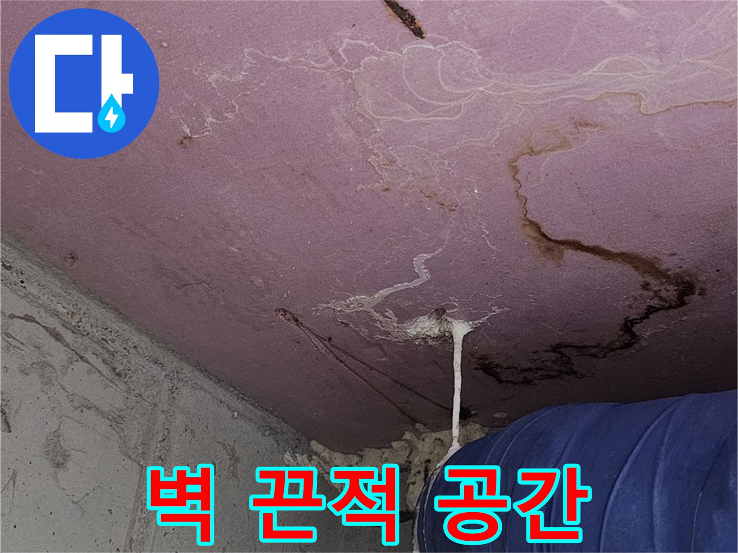 신월동 양천구 누수 - 벽 끈적임 - 쾌적한 공간