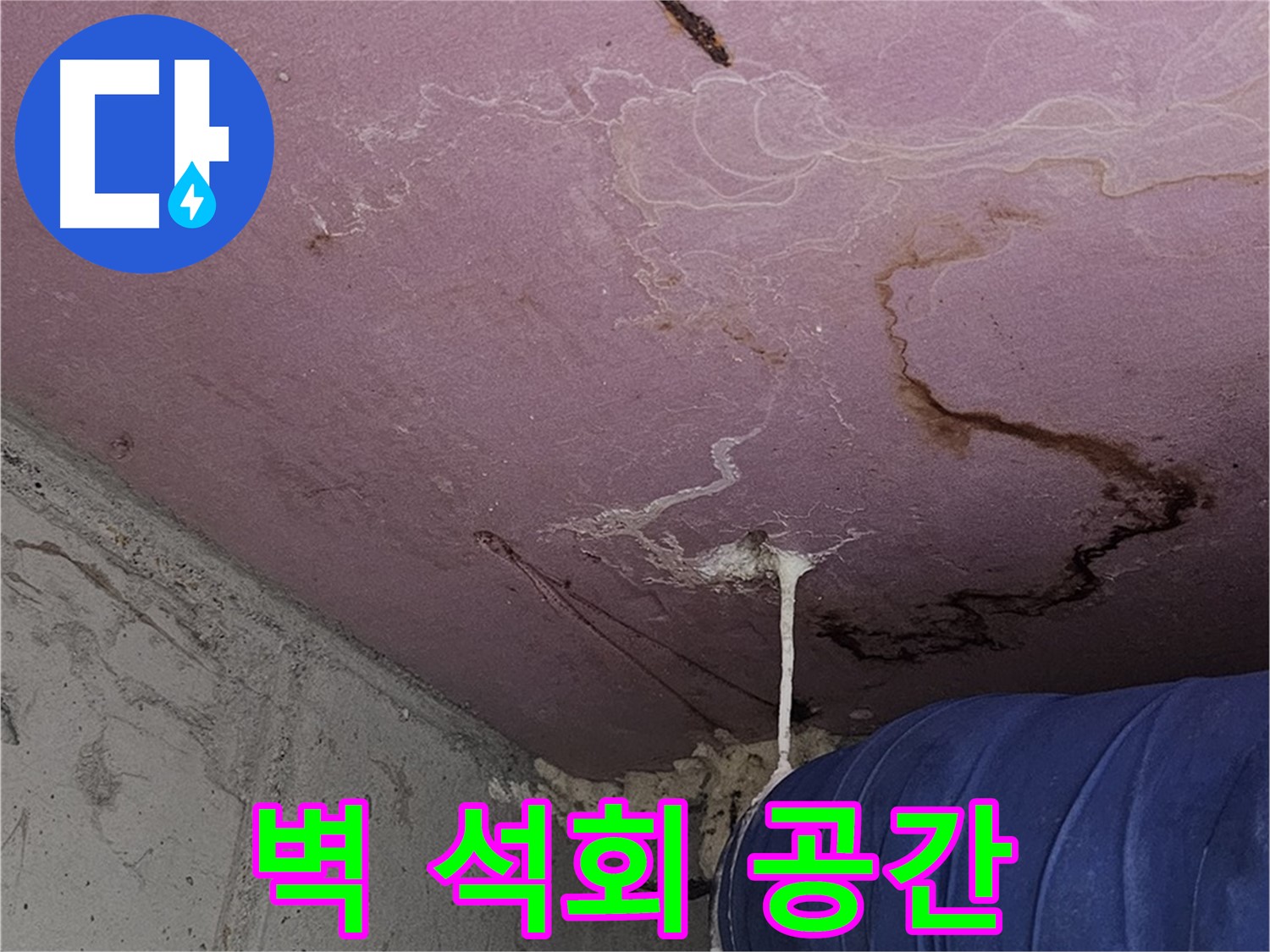 신월동 양천구 누수 - 벽 석회수 - 쾌적한 공간