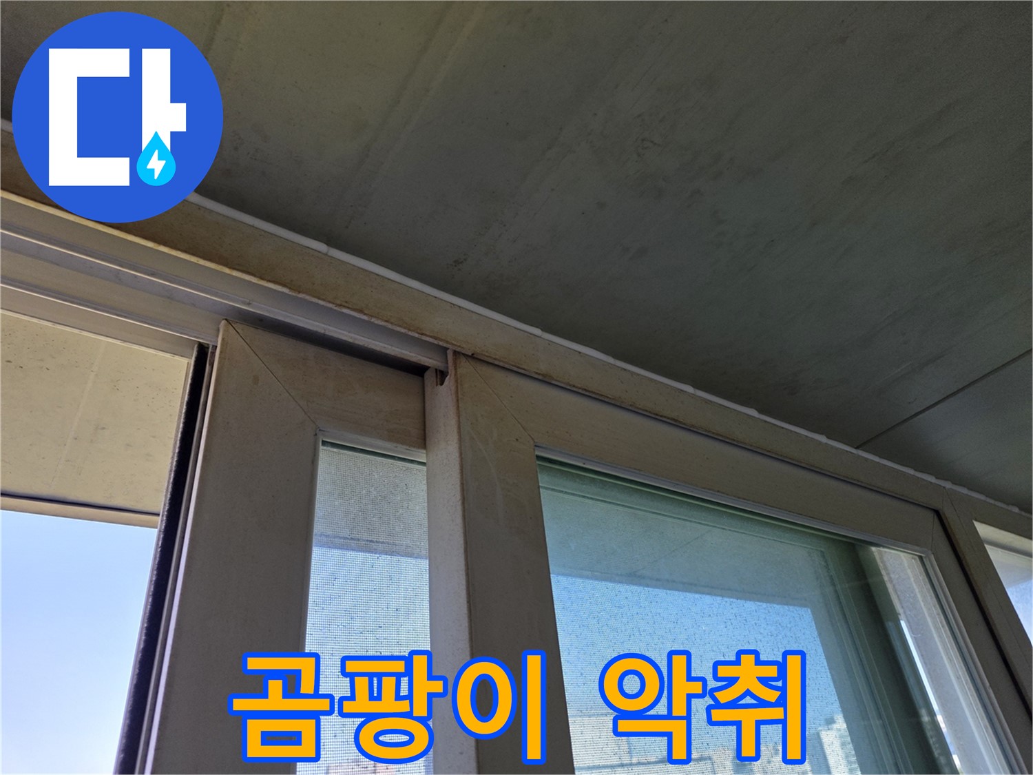 신월동 양천구 창틀 누수 - 곰팡이 악취 - 심각한 오염 상태