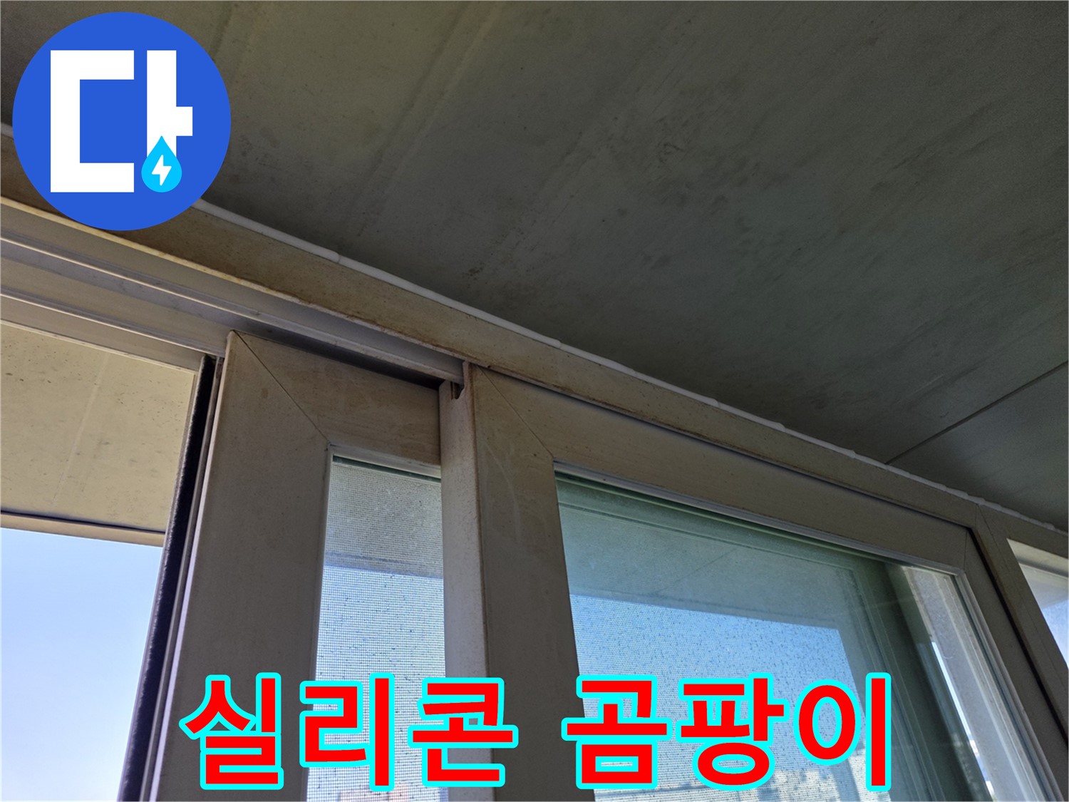 신월동 양천구 창틀 누수 - 실리콘 오염으로 인한 곰팡이 서식 - 건강 위협