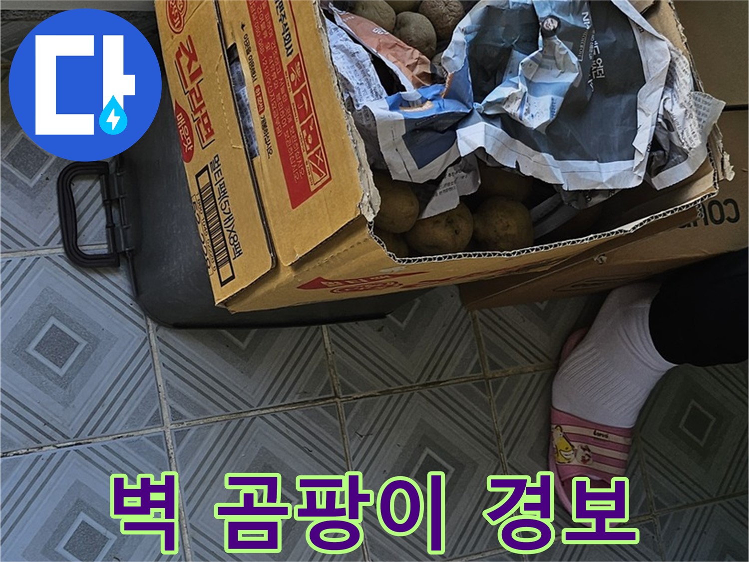 신월동 엘리시안 A동 누수 현장 - 감자 박스 주변 벽에 곰팡이가 피었다면 건강에 적색 경보가 켜진 것입니다 - 즉시 누수 점검을 받으세요.