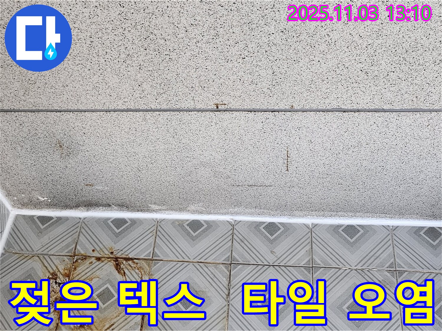 양천구 신월동 누수 - 젖은 천장 텍스와 타일 오염, 긴급 누수 해결 작업 진행!