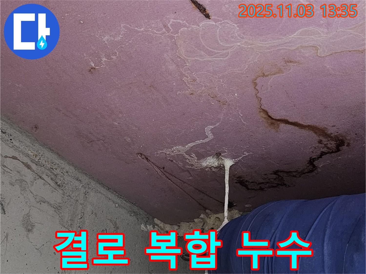 양천구 신월동 누수 현장 - 결로와 누수가 복합적으로 발생한 문제 해결 과정입니다.